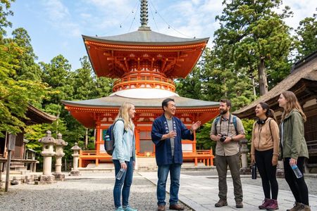 Mt. Koya Sacred Full-Day Private Tour (Osaka departure) with Licensed Guide