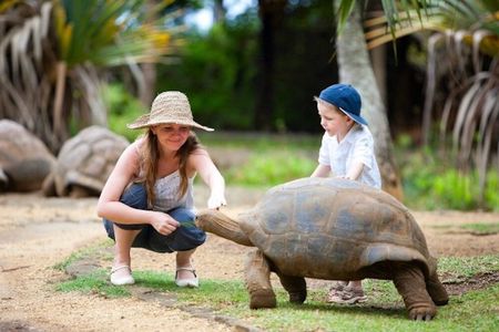 South Mauritius Private Day Tour: Tea Factory, Nature Park and Wild South Coast