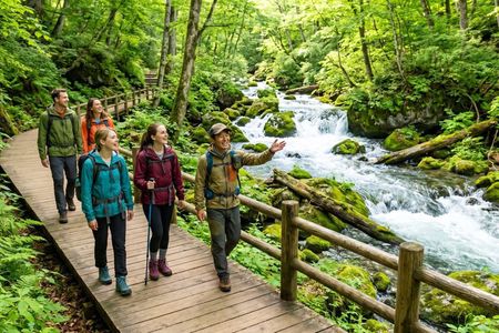 Oirase Gorge and Lake Towada Day Hike with Government-Licensed Guide