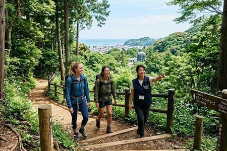 Kamakura One Day Hike Tour with Government-Licensed Guide