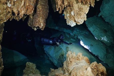 Cenote Diving in Nohoch Nah Chich cavern from Playa del Carmen