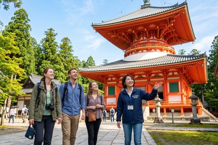 Mt. Koya Sacred 4hr Private Tour with Government Licensed Guide