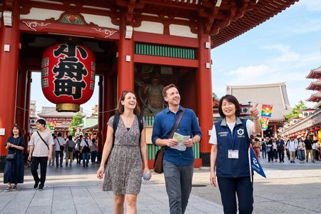Tokyo Private Tour with Licensed Guide from Disney area