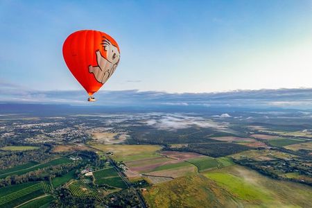 Cairns Classic Hot Air Balloon Ochre