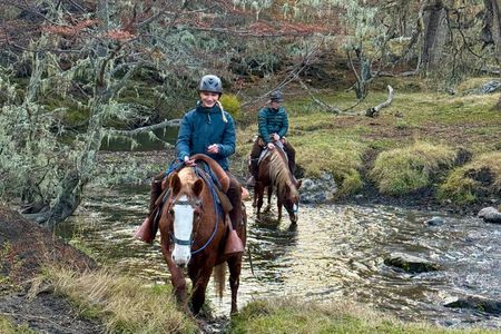 Half Day Horse Connection Experience near Puerto Natales