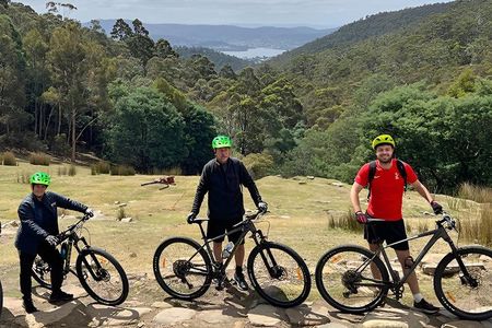Mt Wellington Rainforest Self Guided Off Road Bike Adventure