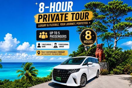 Okinawa Private Tour — Driver and Guide Included 1–5 Guests (8h)