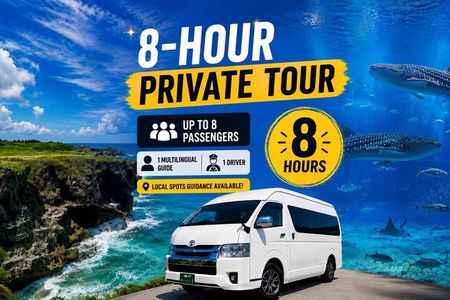 Okinawa Private Tour — Driver and Guide Included 1–8 Guests (8h)