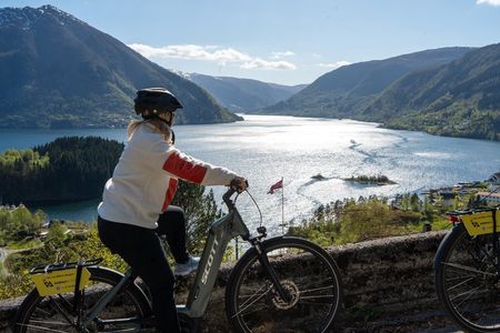 E-Bike and RIB Fjord Safari Day Tour from Bergen