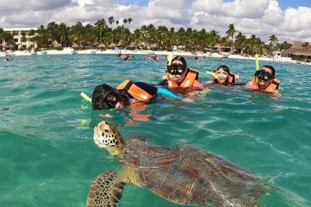 Snorkel with Turtles-Akumal Bay