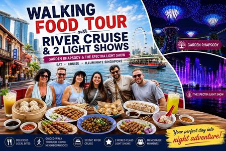 Full day Tour: Food tour, 40-min Cruise & 2 top-visit Light shows