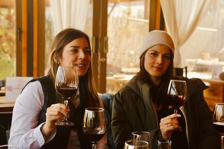Santiago: Maipo Valley Tour, Wine, Pisco, and Lunch Included