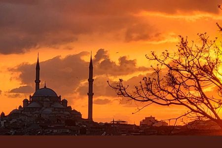 Private Turkish Food Night and Rooftop Experience