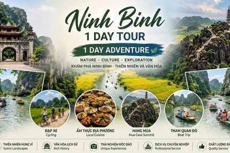 Private/Group Ninh Binh: Hoa Lu, Trang An, Mua Cave from Hanoi