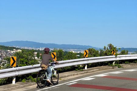 Osaka E Bike Tour: Hidden Nature, Temple & Japanese Cheesecake