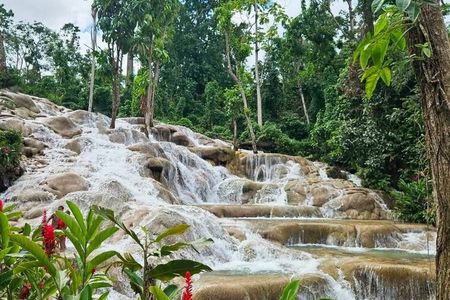 Ocho Rios Dunn's River Falls Tour from Montego Bay and Falmouth