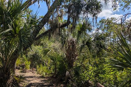 Oscar Scherer Vortex Tour Mindful Hiking and Meditation