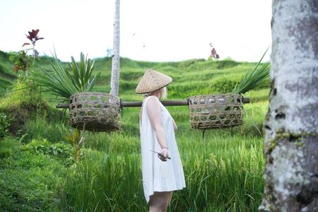 1 Day Private Ubud Tour in Ubud All Inclusive