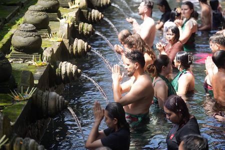 1 Day Private Ubud Tour in Ubud All Inclusive