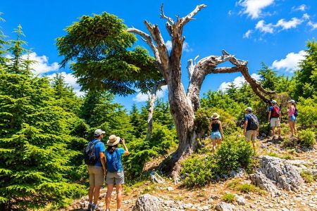 4 Nights Lebanon Holiday Package