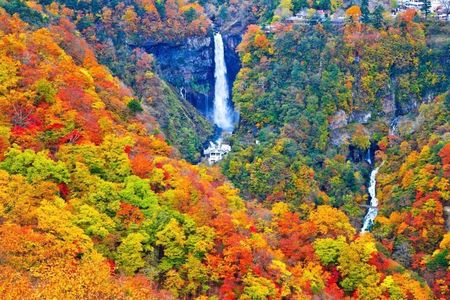 Nikko Private Tour - Temples, Nature and Hidden Gems