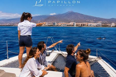 Los Cristianos: Luxury Whale Watch Swim Stop Food & Drinks