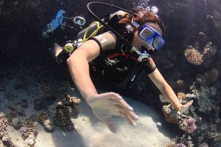 Scuba Diving from Boat Adventure in Sharm El Sheikh