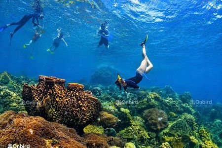 Island Chillax Hideaway: Snorkeling & Sunset BBQ [MAX 12 PAX]
