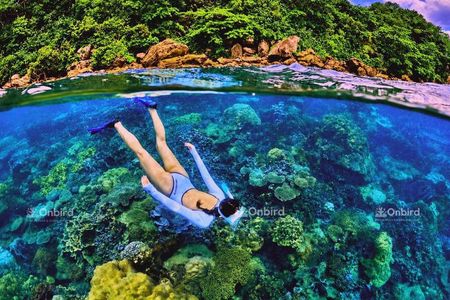 PRO-SNORKELING to Explore Hidden Coral Reefs (MAX 12 PAX)