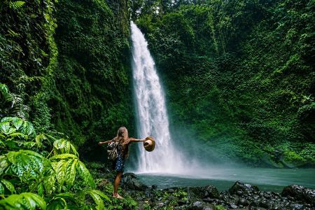 Ubud Highlights Private Tour: All-Inclusive Guided Day Trip