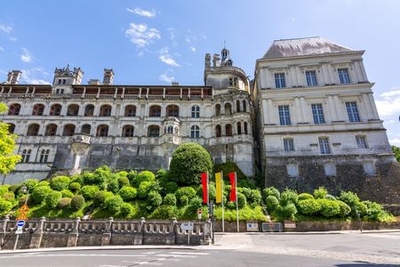From Paris Loire Valley Half Day Castle and Wine Tour