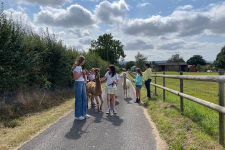 Private 1-Hour Alpaca Walking Experience