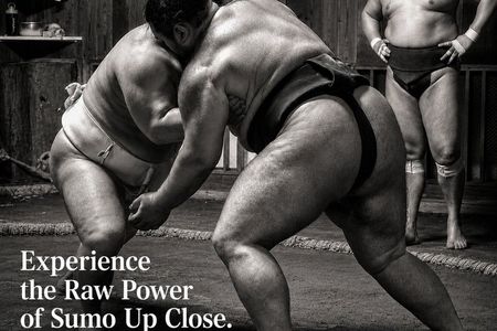 Find Your Favorite Wrestler at Morning Sumo Practice