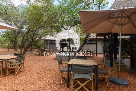 5-Day Luxury Ivory Moon Lodge Safari in Kruger National Park