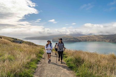 Half-Day Godley Head Coastal Hike from Christchurch