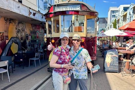 Lyttelton Shore Excursion: Christchurch Highlights & Avon Punting