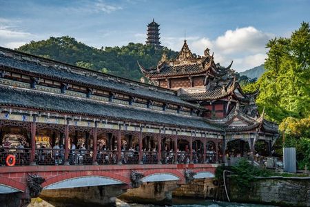 Wolong Panda Reserve & Dujiangyan Private Guided Tour with Lunch