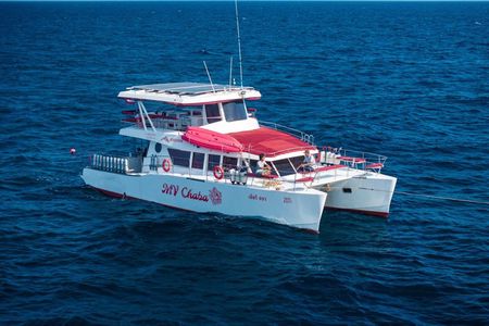Koh Tao 3 Dive Catamaran Diving Experience with MV Chaba