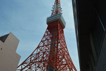 Tokyo Zojoji Temple and Tokyo Tower Tour