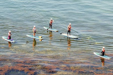 Introduction to Stand Up Paddleboarding in Studland