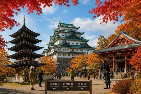 All-Inclusive private Walking Tour of Nagoya: Discover it All!