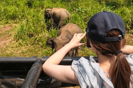 Minneriya National Park Half Day Private Jeep Safari