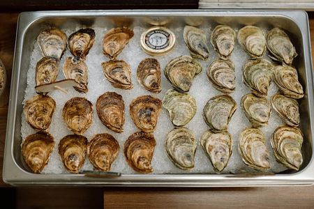 SIP & SHUCK - Oyster Shucking Class/ Short walk from Cruise Ships
