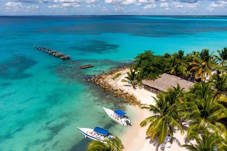 Saona Island Tour from La Romana Port for MSC Opera Passengers