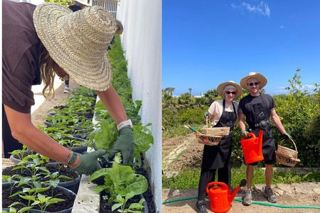 Moroccan Cooking Class in Tangier - Farm to Table Experience