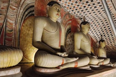 Customizable Multi-Day Tour Packages for Sri Lanka