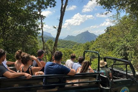 Half-Day Jeep Tour in Rio's Tijuca Rainforest and Scenic