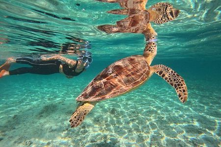 Private Gili Islands Snorkeling Tour with Sea Turtles
