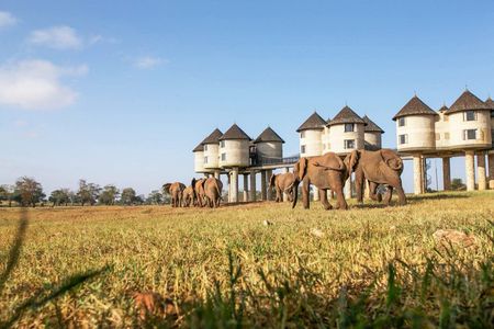 3 Days Taita Hills in Saltlick Lodge Private Safari from Mombasa