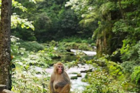 3Day Avatar Mountains, Tianmen, Furong and Fenghuang Private Tour